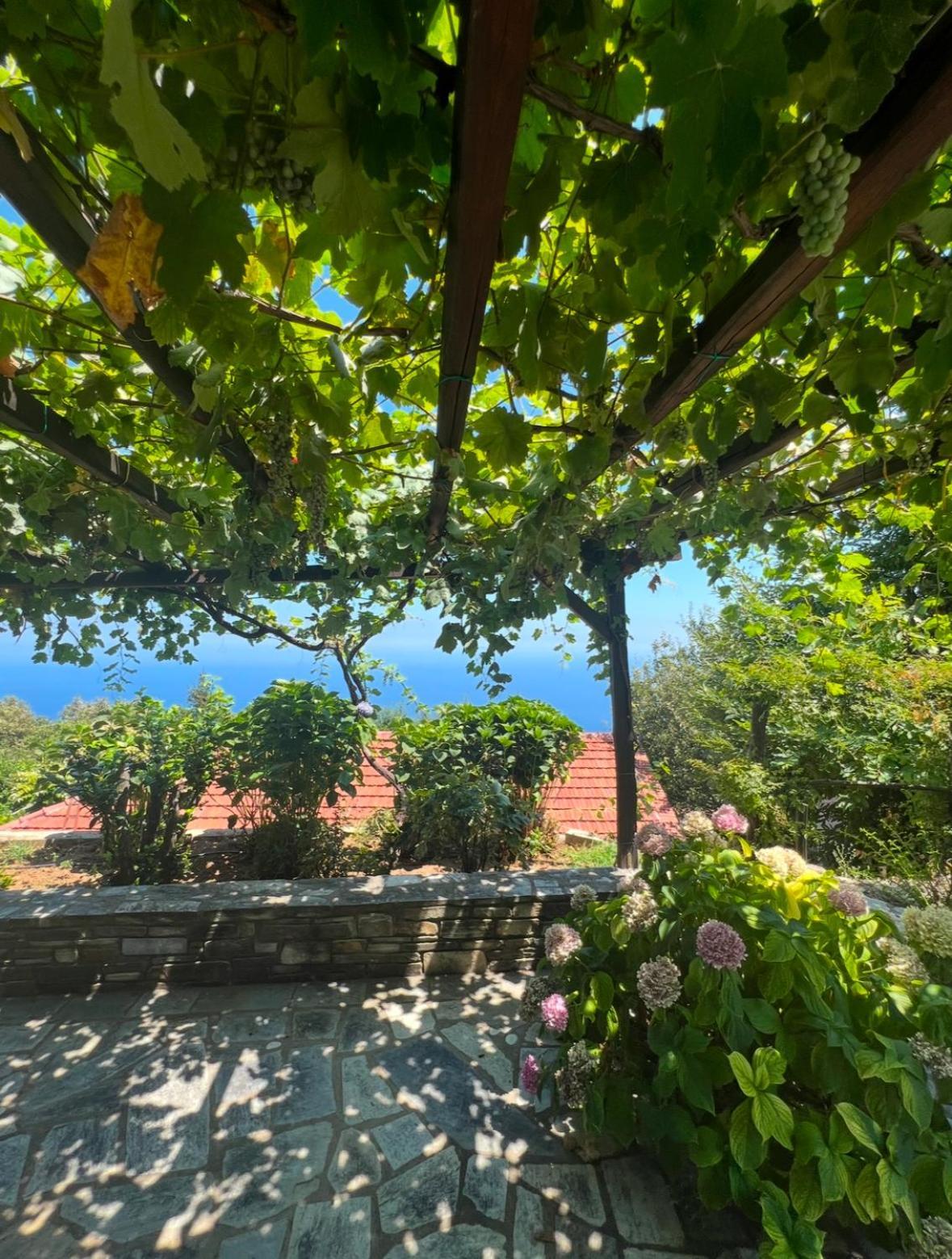 Om Living Pelion Apartment Áyios Dhimítrios Exterior foto